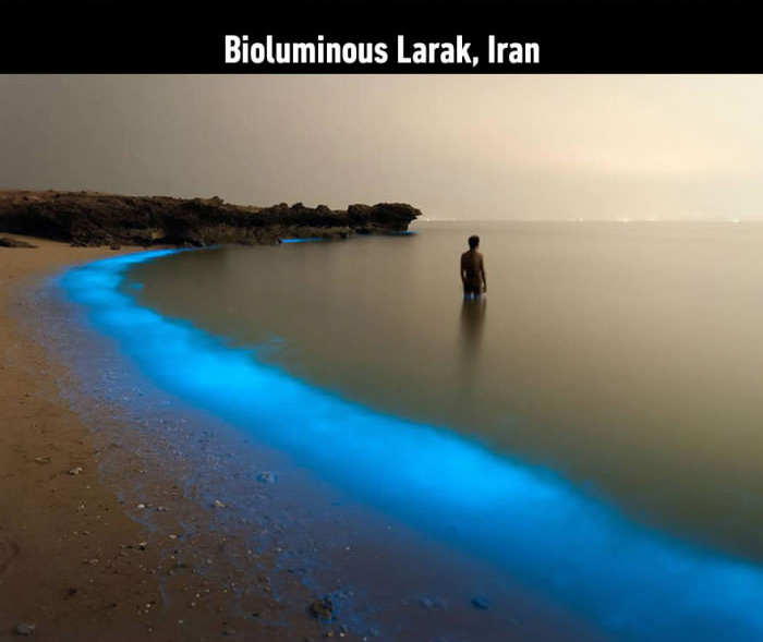 biolumious larak