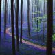 blue-forest