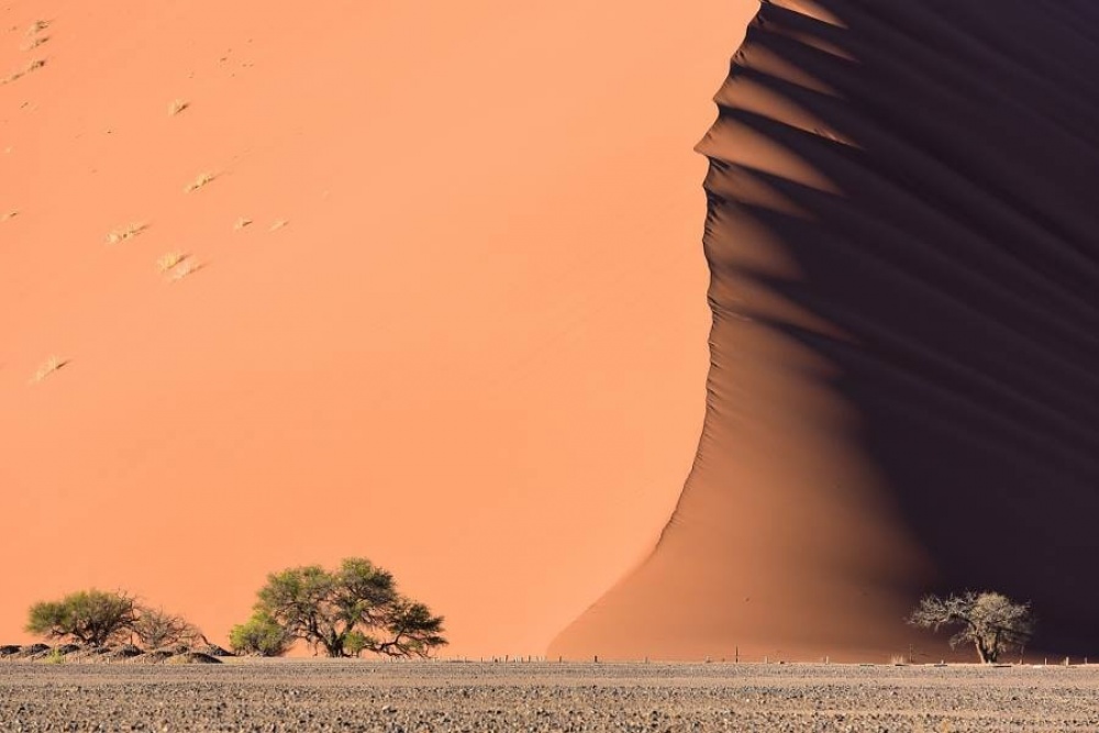 The sea-like dunes of the Namib Desert