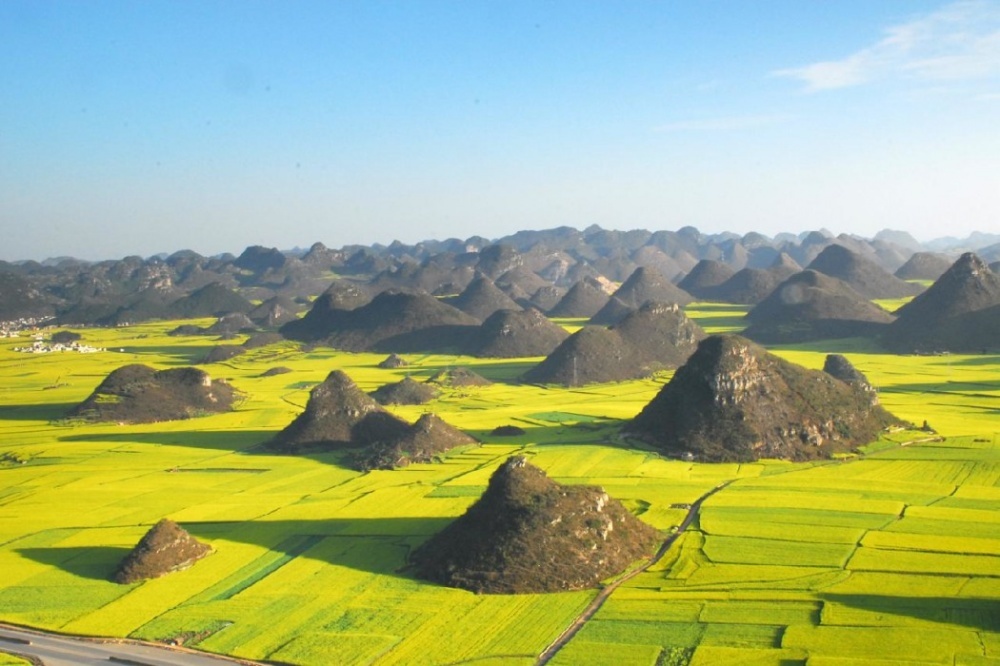 Rapeseed fields in Luoping, China