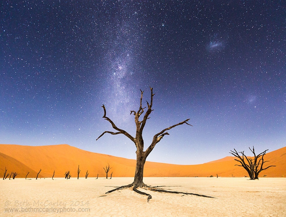 Namib Desert, Africa