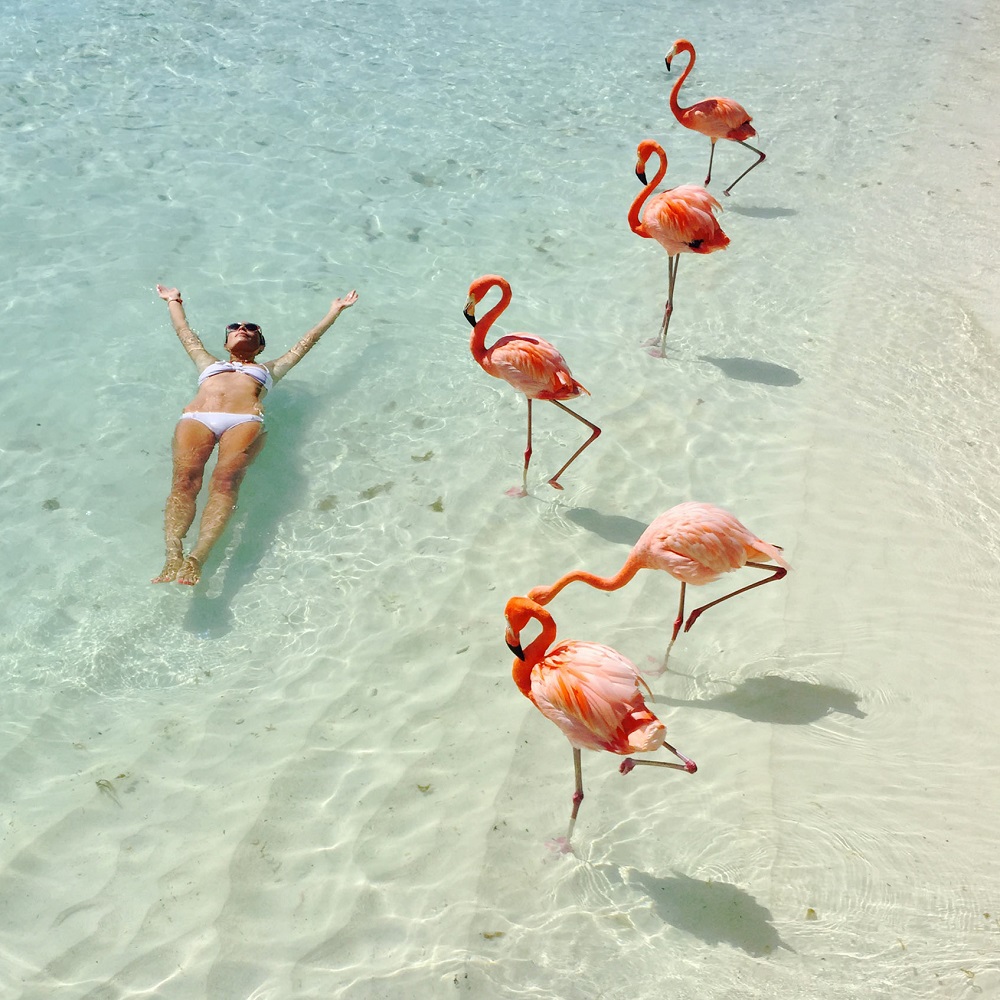 flamingo-beach